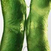 SOY